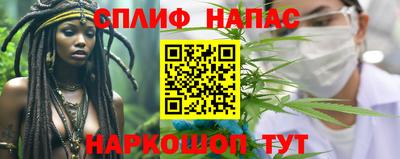 Альфа ПВП Можга