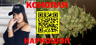 Альфа ПВП Можга