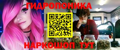 Альфа ПВП Можга