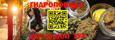 Альфа ПВП Можга