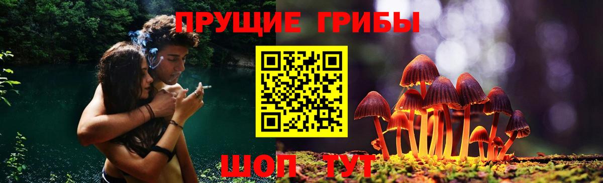 Галлюциногенные грибы прущие грибы  Вход с VPN  Волжский  Галлюциногенные грибы мухоморы 